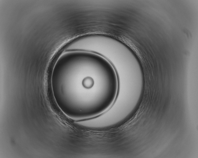 X0000112930676200909071034