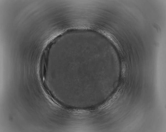 X0000112930677200909071034