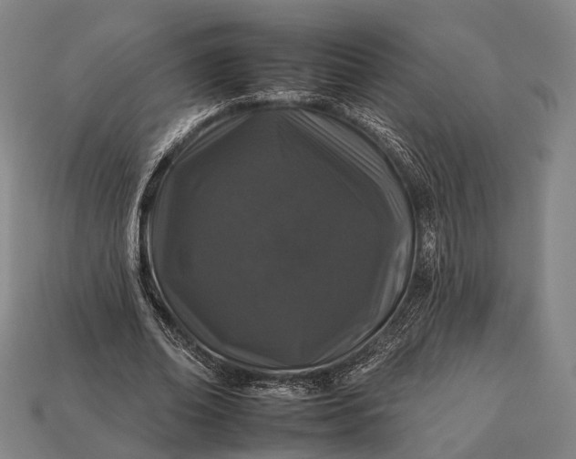 X0000112930678200909071034