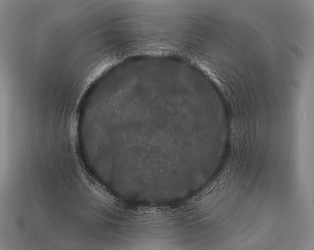 X0000112930679200909071034