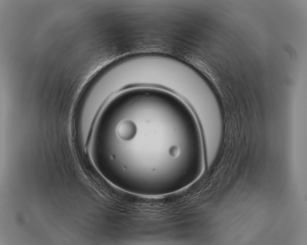 X0000112930680200909071034