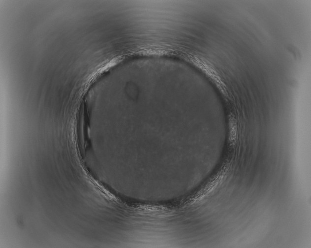 X0000112930681200909071034