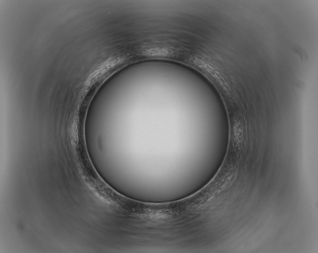 X0000112930682200909071034