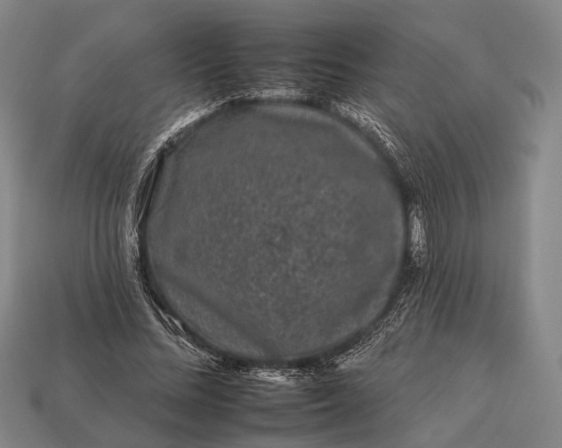 X0000112930684200909071034