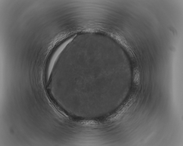 X0000112930685200909071034