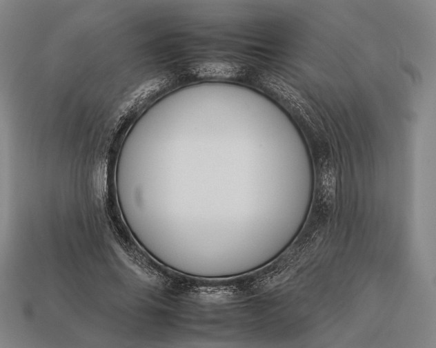 X0000112930686200909071034