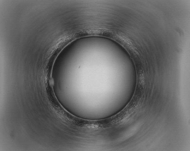 X0000112930687200909071034