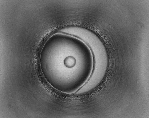 X0000112930688200909071034