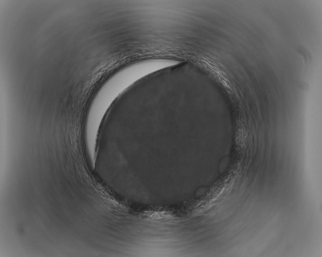 X0000112930689200909071034