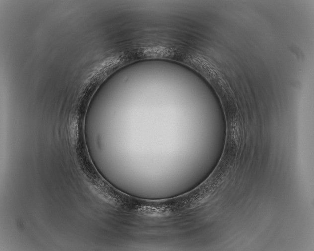 X0000112930690200909071034