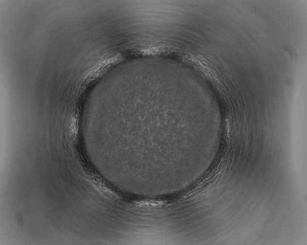 X0000112930691200909071033