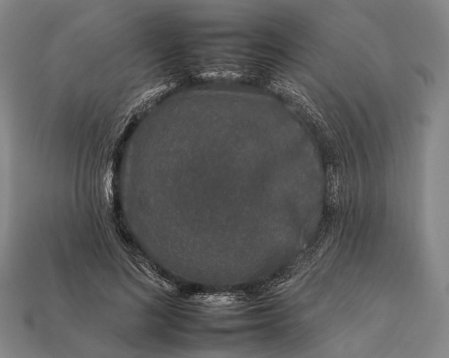 X0000112930692200909071033