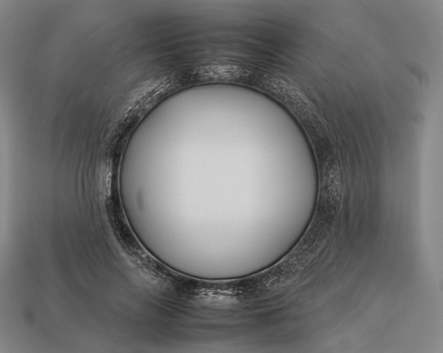 X0000112930694200909071033