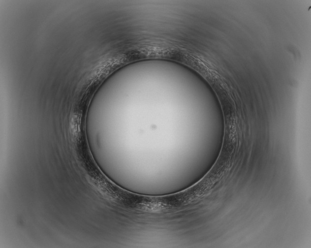 X0000112930695200909071033