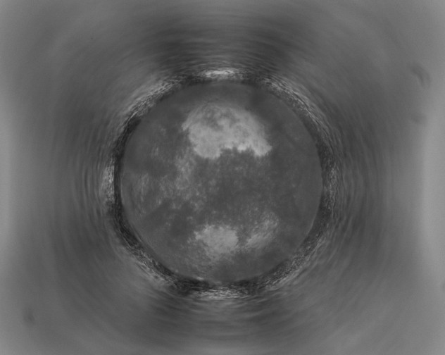 X0000112930696200909071033