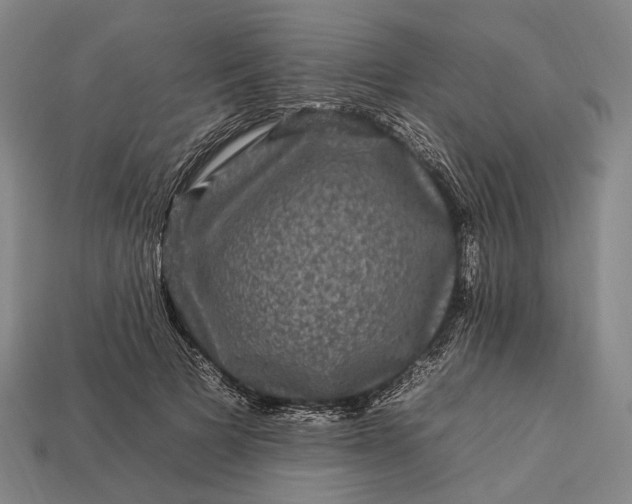 X0000112930697200909071033