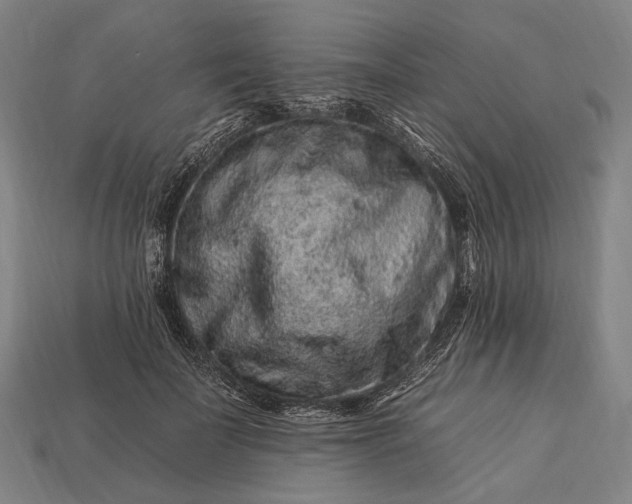 X0000112930699200909071033