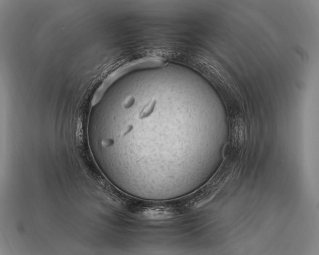 X0000112930700200909071033