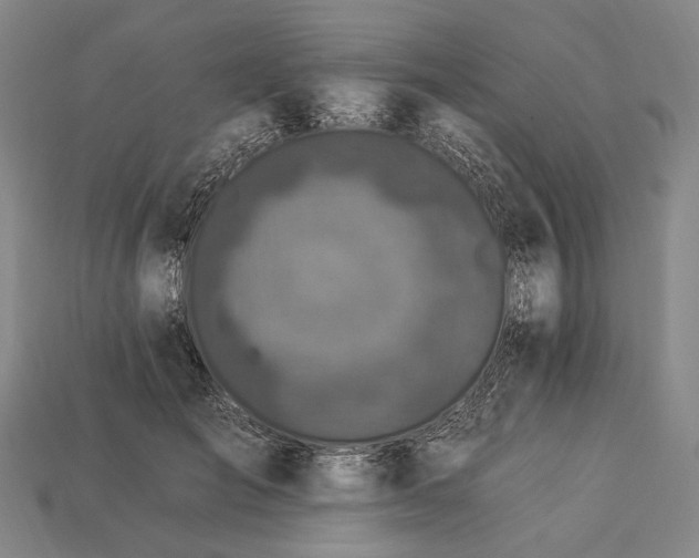 X0000112930701200909071033