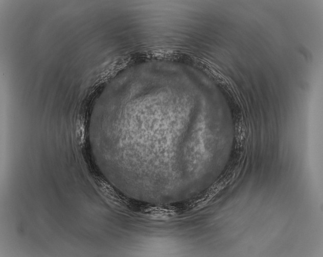 X0000112930703200909071033