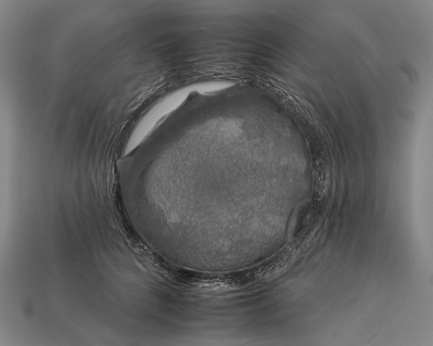 X0000112930704200909071033