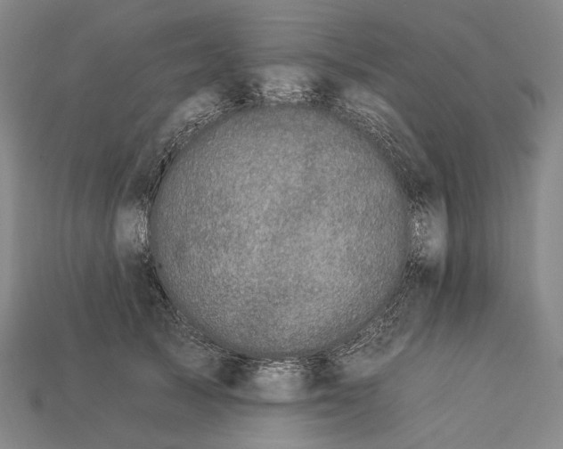 X0000112930705200909071033