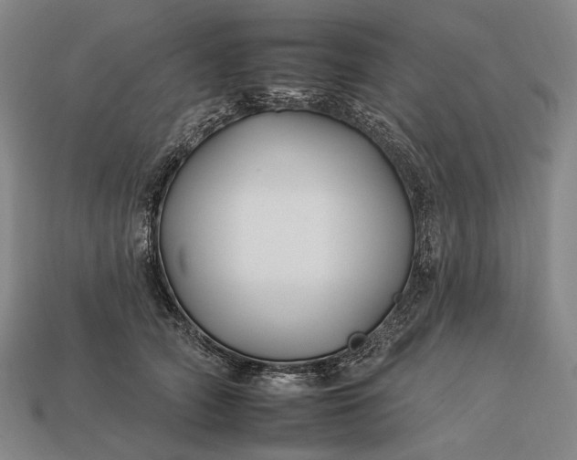 X0000112930706200909071033