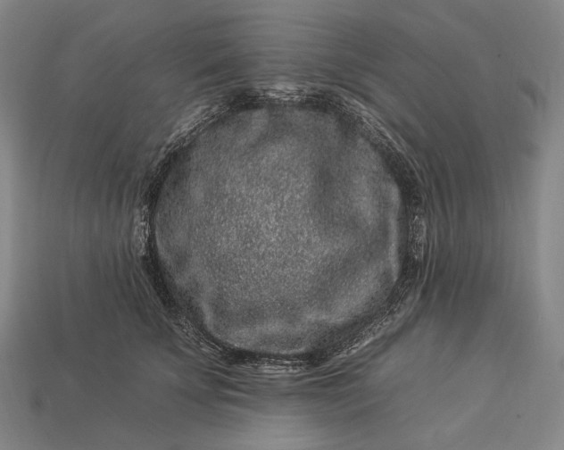 X0000112930707200909071033