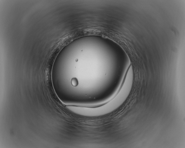 X0000112930708200909071033