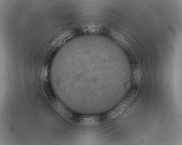 X0000112930709200909071033