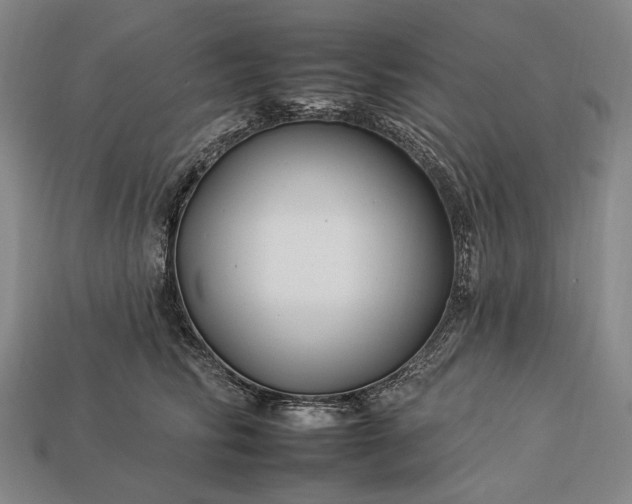 X0000112930710200909071033