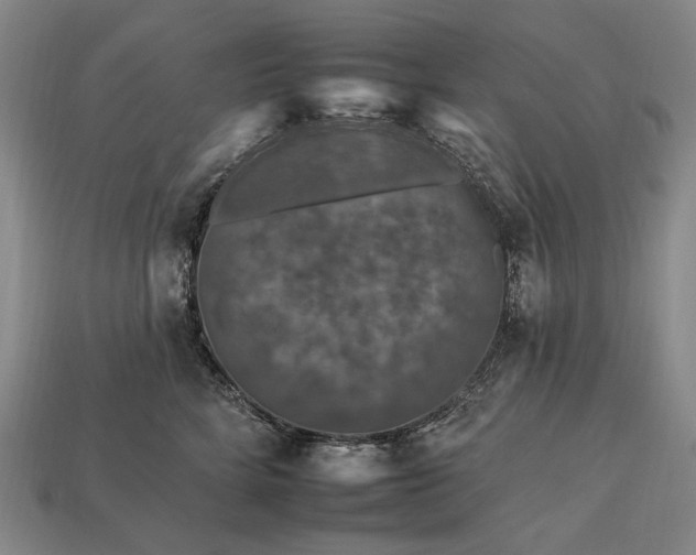 X0000112930712200909071033