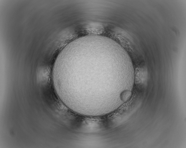 X0000112930713200909071033