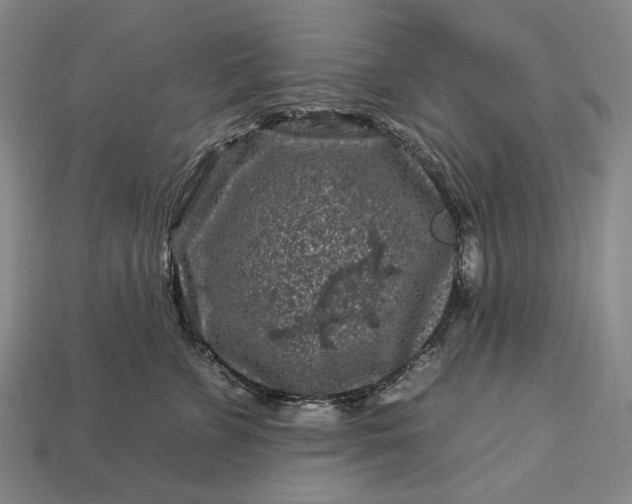 X0000112930715200909071033