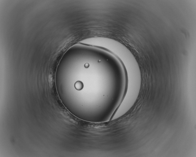 X0000112930716200909071033