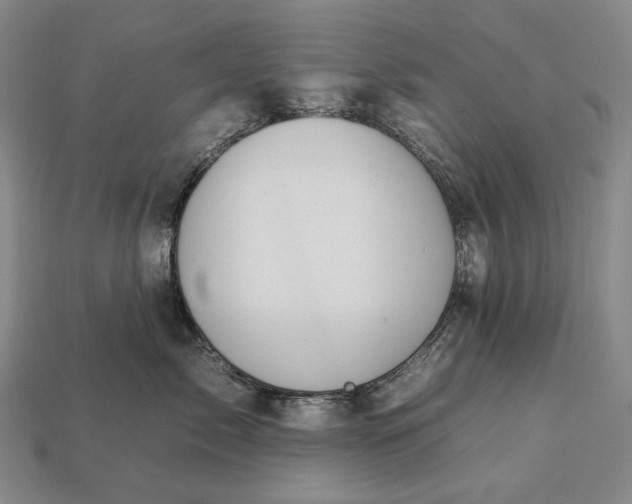 X0000112930717200909071033