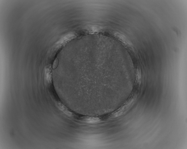 X0000112930719200909071033