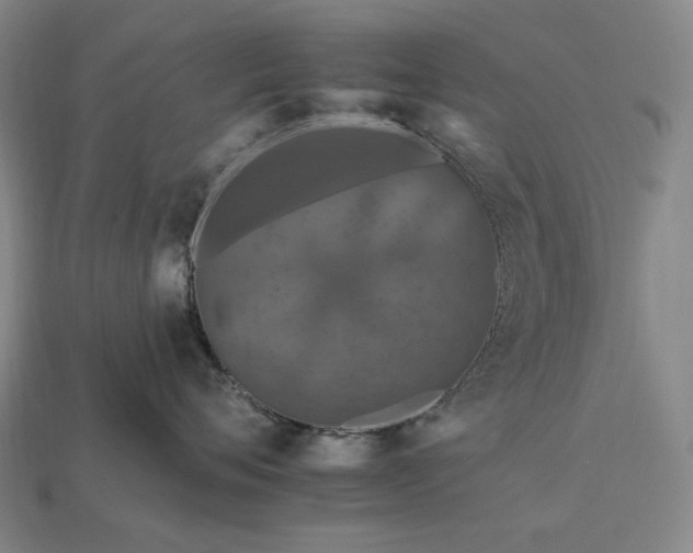 X0000112930720200909071033