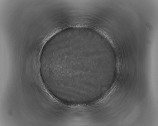 X0000112930721200909071033