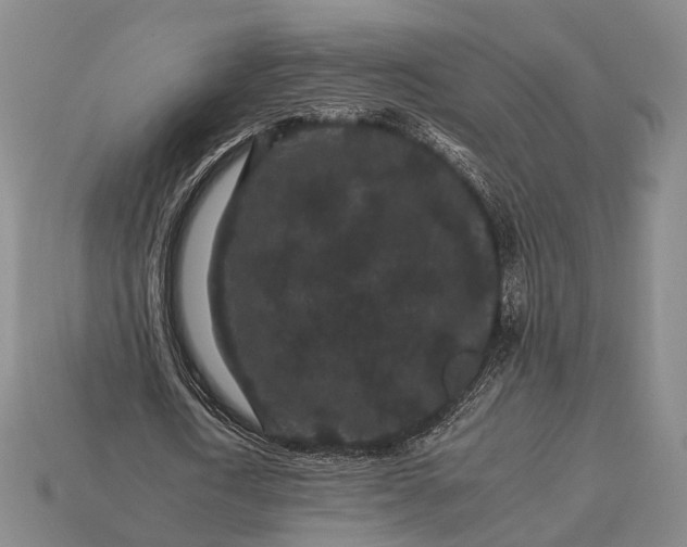 X0000112930722200909071033