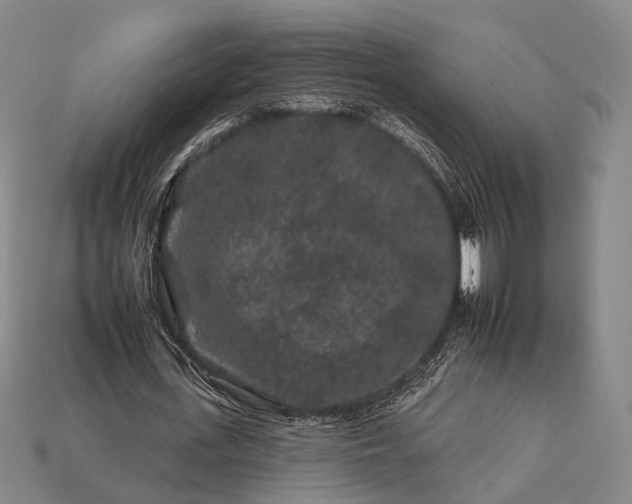 X0000112930723200909071033