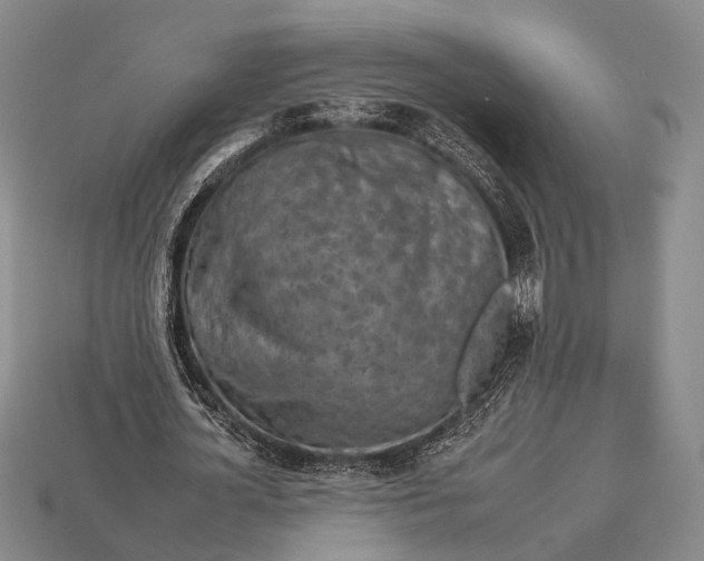 X0000112930724200909071033