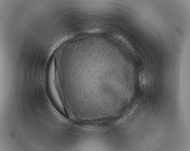 X0000112930725200909071033