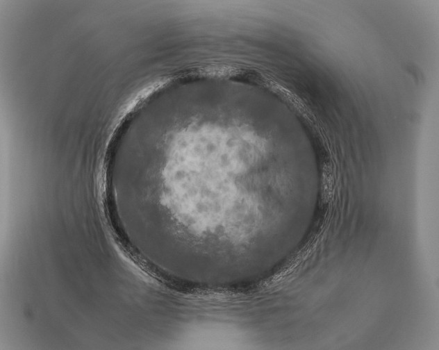 X0000112930726200909071033