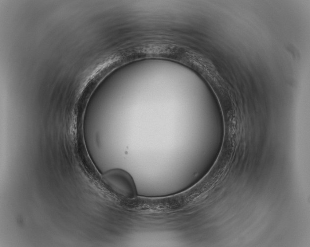 X0000112930727200909071033