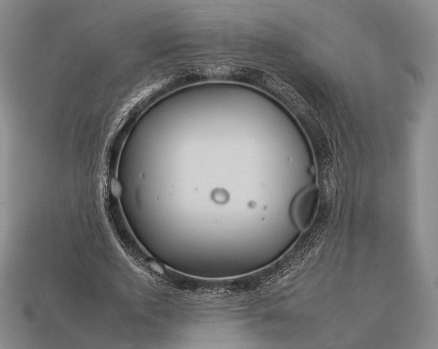 X0000112930728200909071033