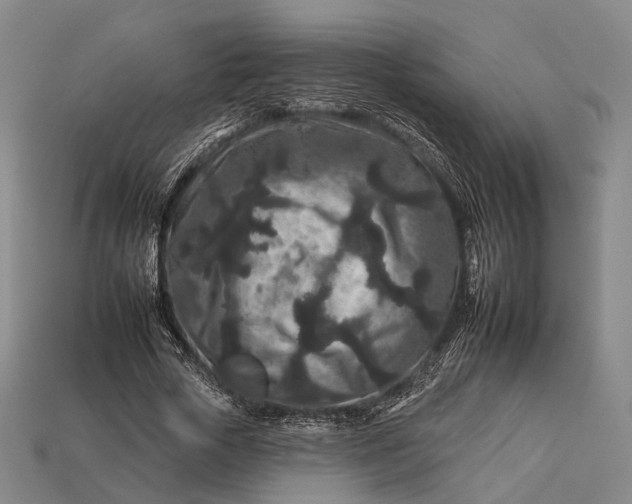 X0000112930729200909071033