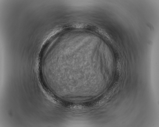 X0000112930730200909071033