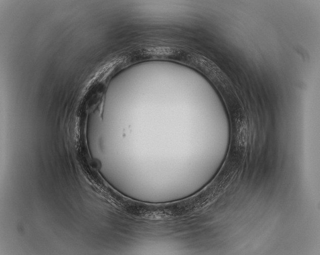 X0000112930731200909071033