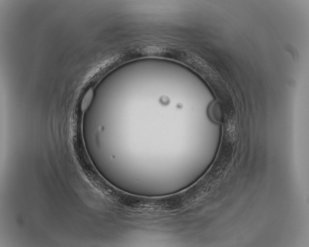 X0000112930732200909071033